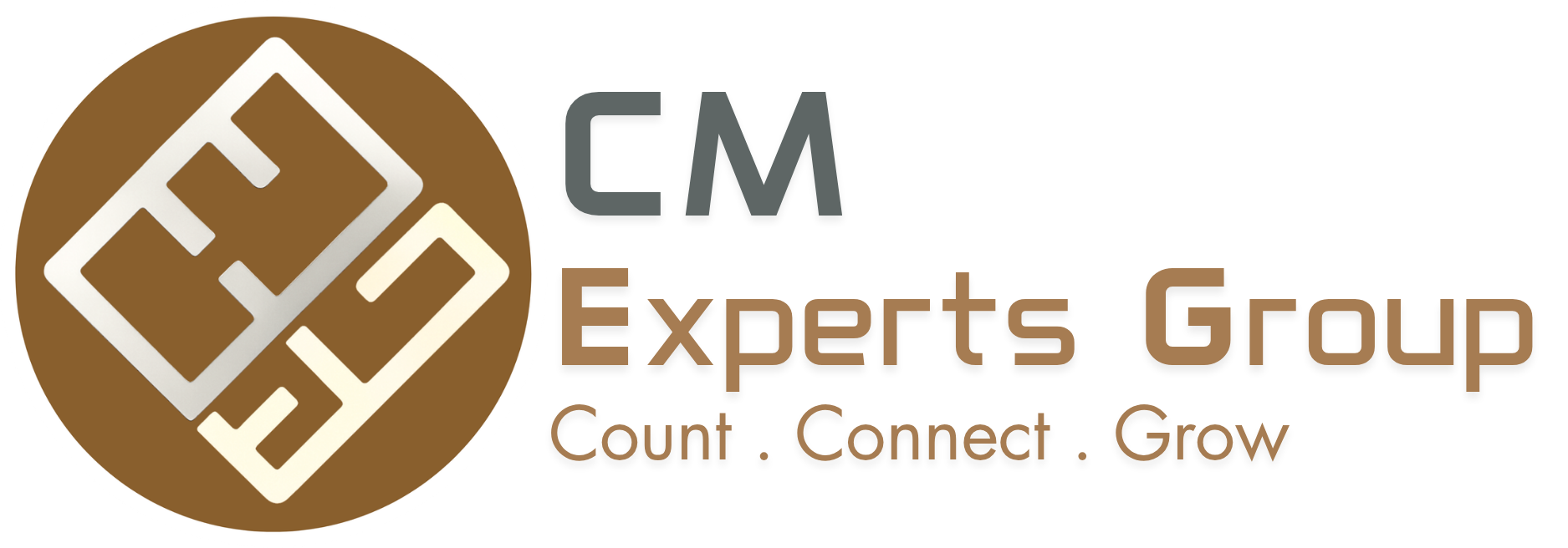 CMEG Logo